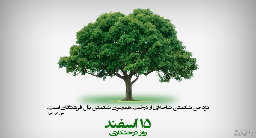 روز درختکاری مبارک باد